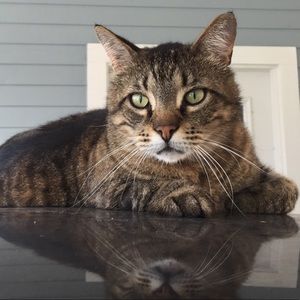 Meet your Posher, Jaci